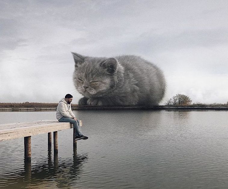 russian artist photoshops giant cats