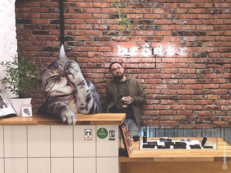 russian artist photoshops giant cats