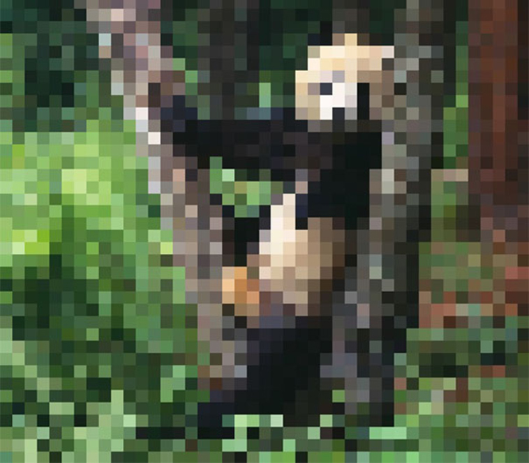 endagered animals pixels campaign extinction