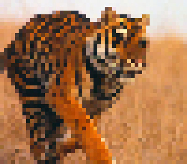 endagered animals pixels campaign extinction