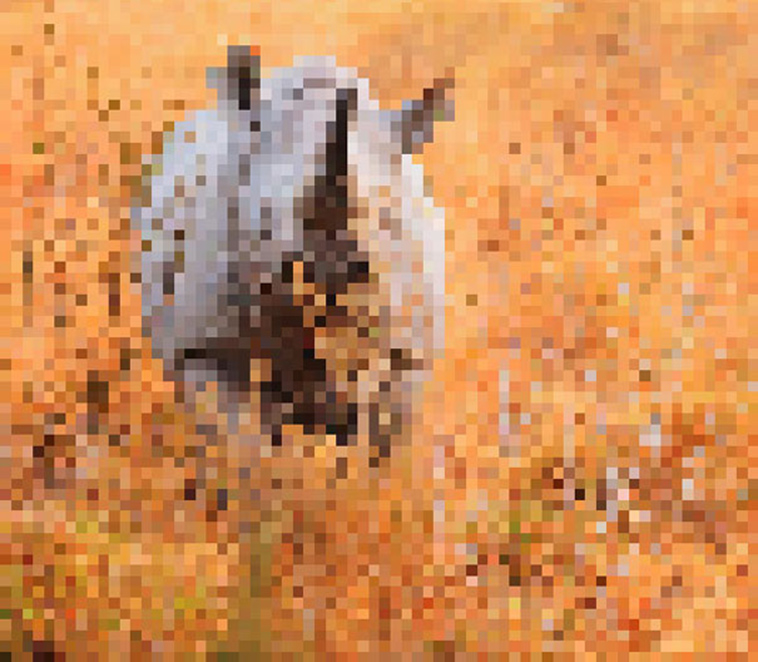 endagered animals pixels campaign extinction