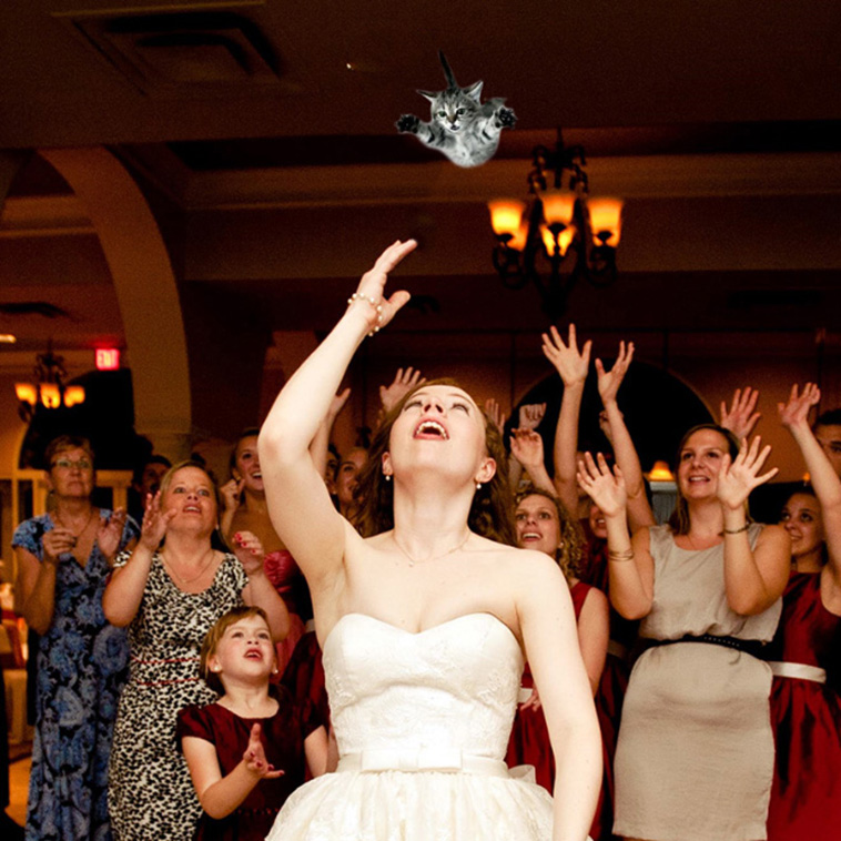 Bridal Bouquets Replaced With Cats