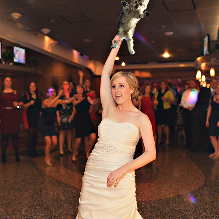Bridal Bouquets Replaced With Cats