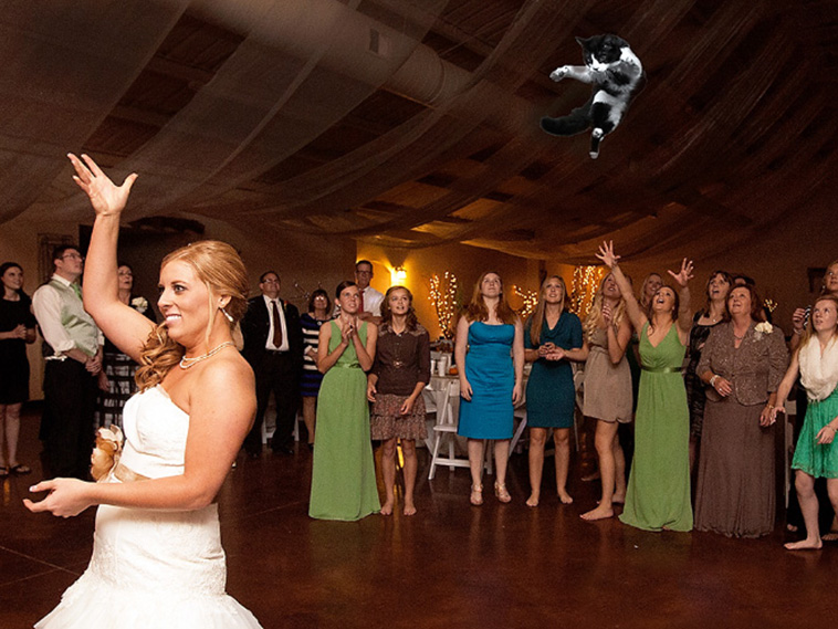 Bridal Bouquets Replaced With Cats