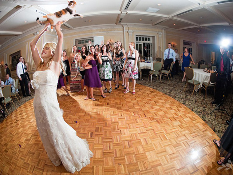 Bridal Bouquets Replaced With Cats