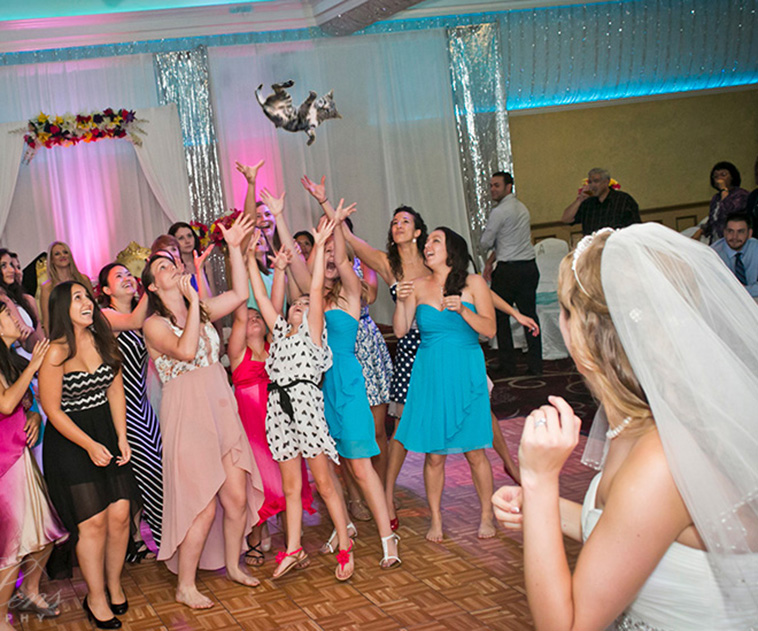 Bridal Bouquets Replaced With Cats