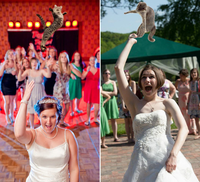 Bridal Bouquets Replaced With Cats