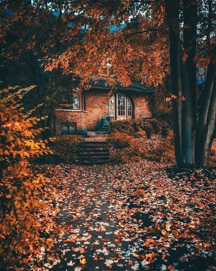 Fall