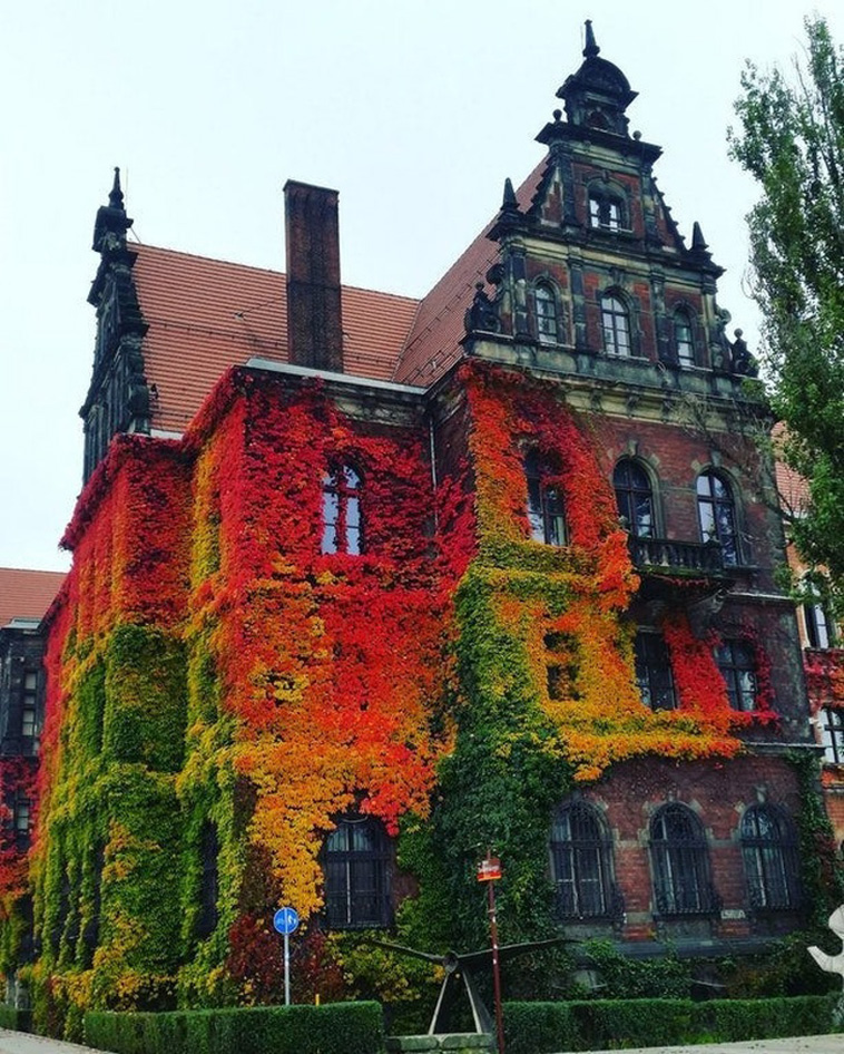 Fall