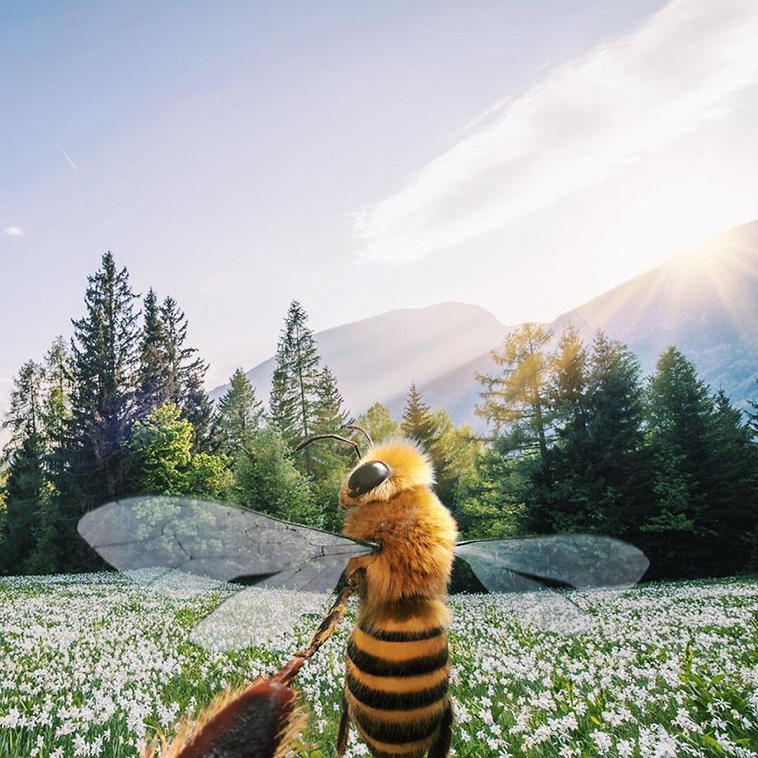 The World’s First Bee Influencer Is Trying To Raise Funds To Save Her ...