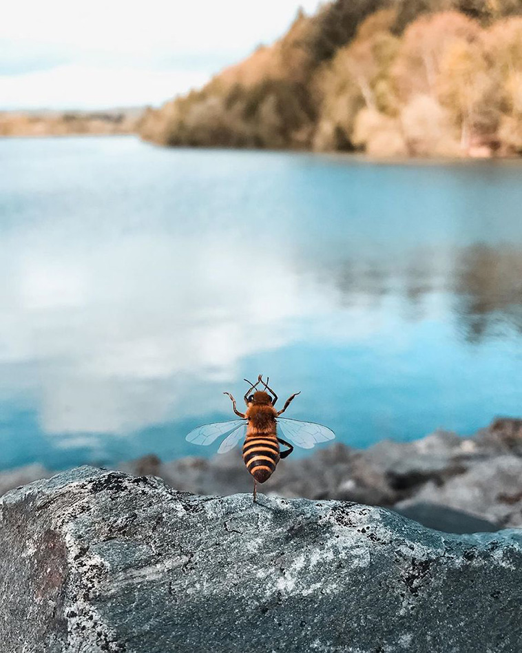 Bee Influencer