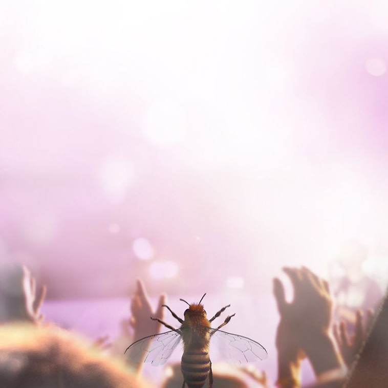 Bee Influencer
