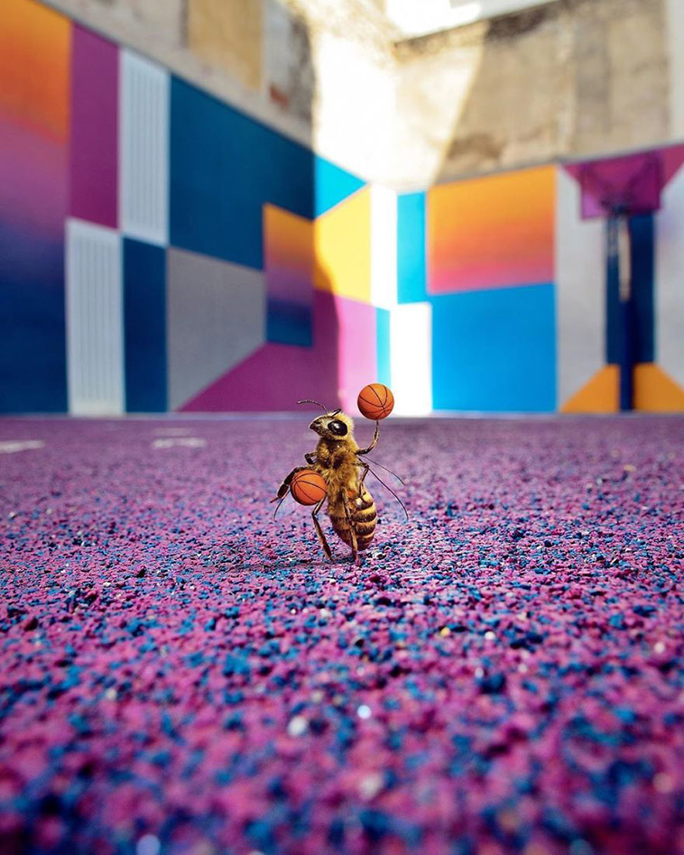 Bee Influencer