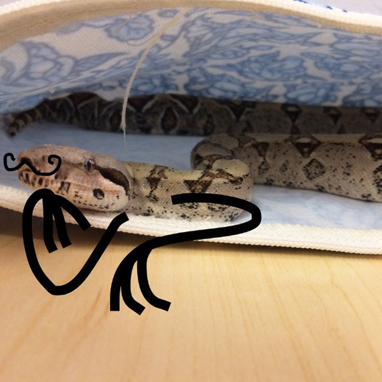 funny snake doodles