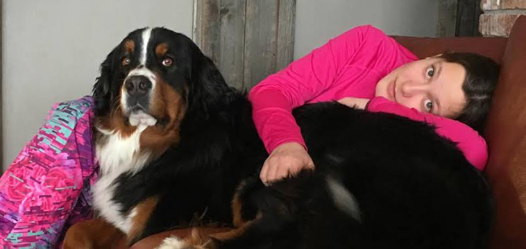 Bernese-Mountain-Dog