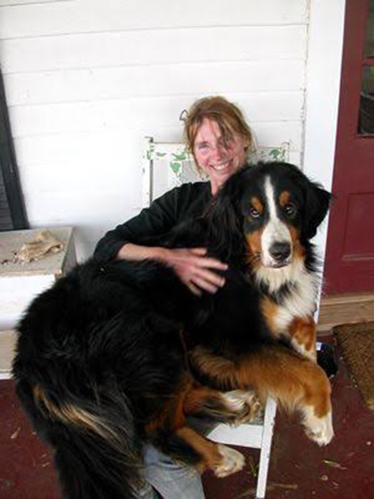 Bernese-Mountain-Dog