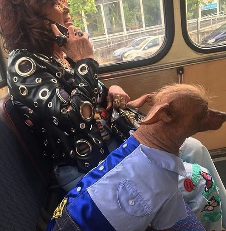 Strange Things Spotted On Public Transport 