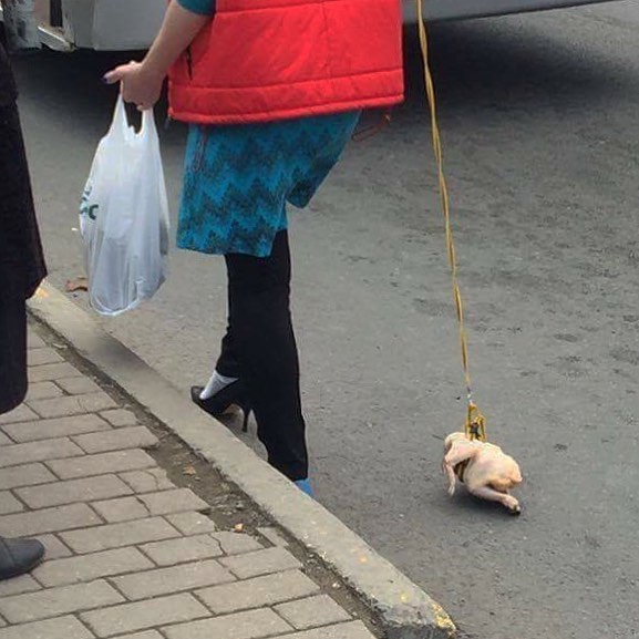 Strange Things Spotted On Public Transport 