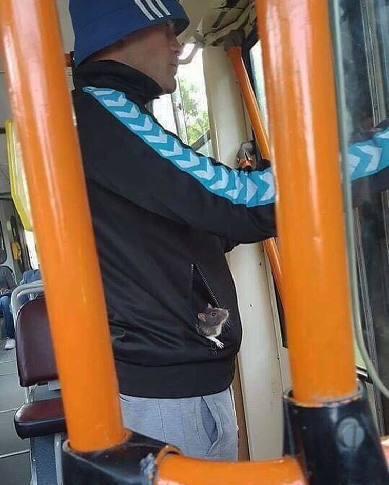 Strange Things Spotted On Public Transport 