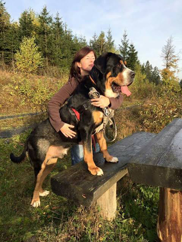 Swiss-Mountain-Dog