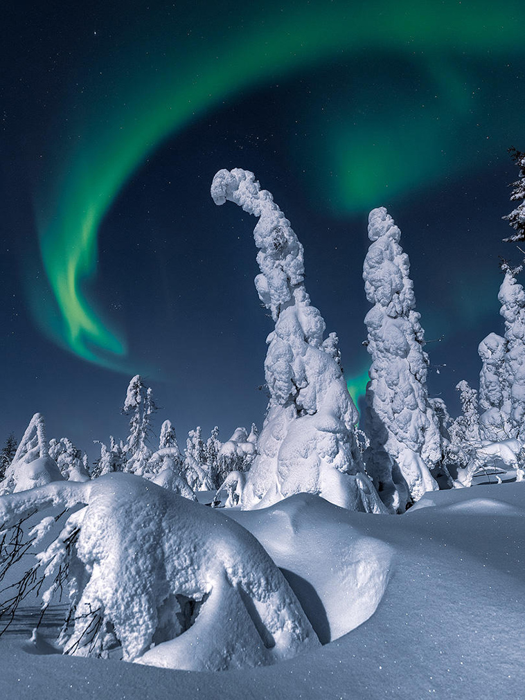 snow aurora borealis