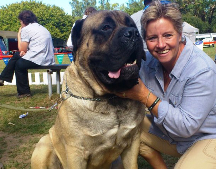 boerboel