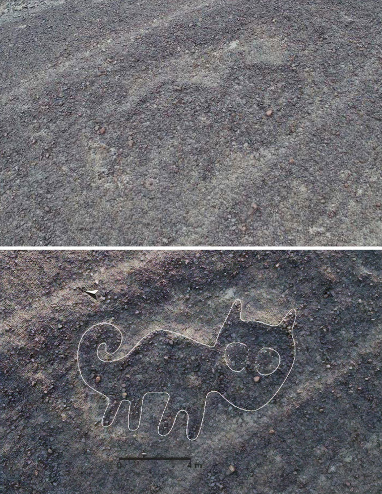 143 New Geoglyphs