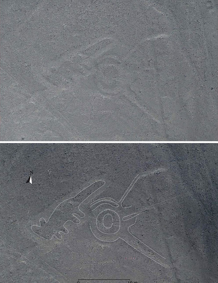 143 New Geoglyphs