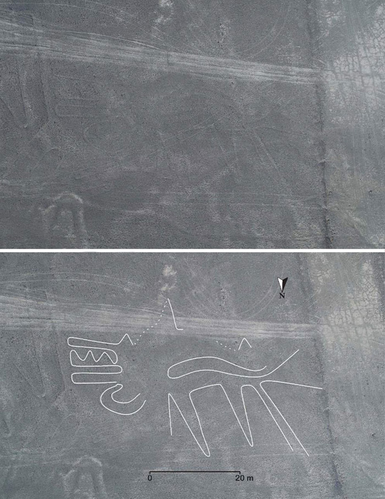 143 New Geoglyphs