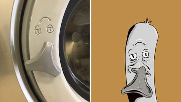 Pareidolia