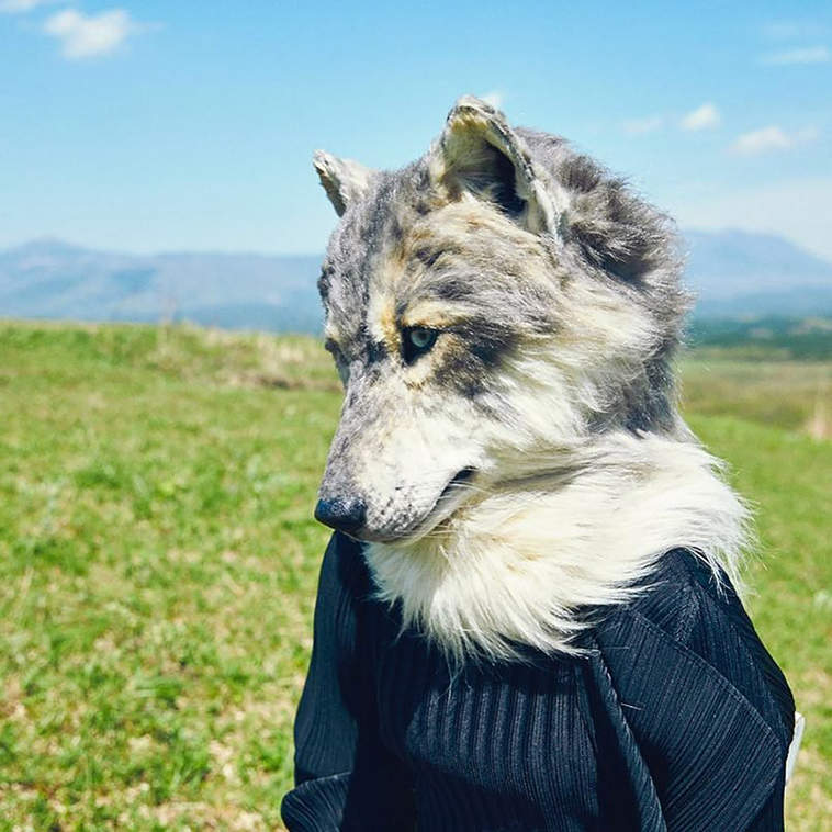 wolf realistic animal masks