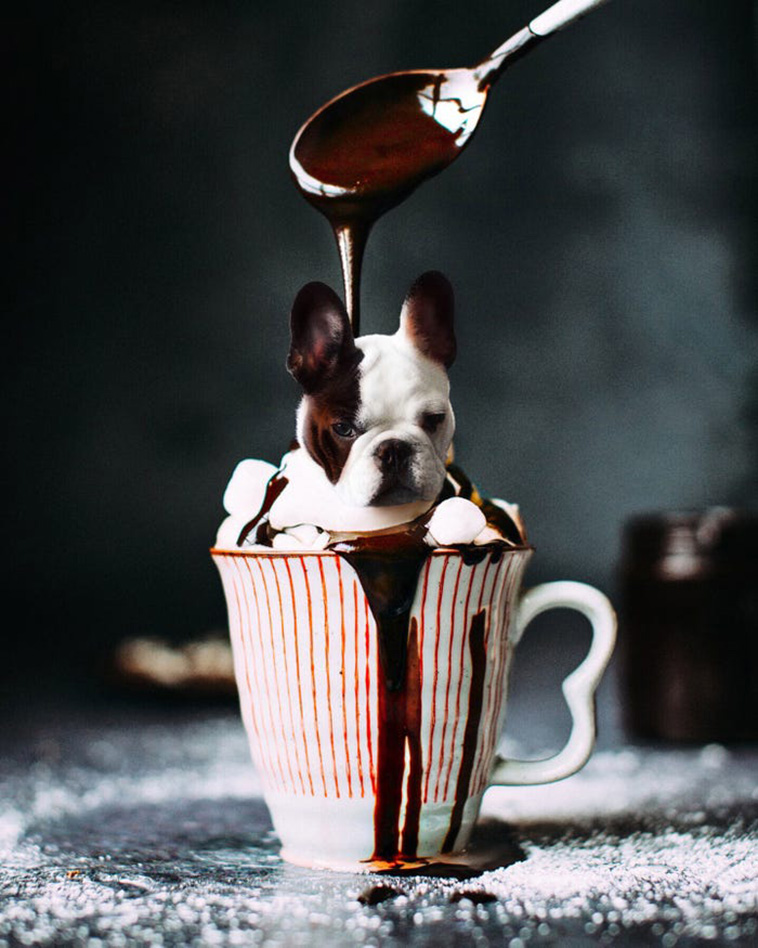 dog face on dessert