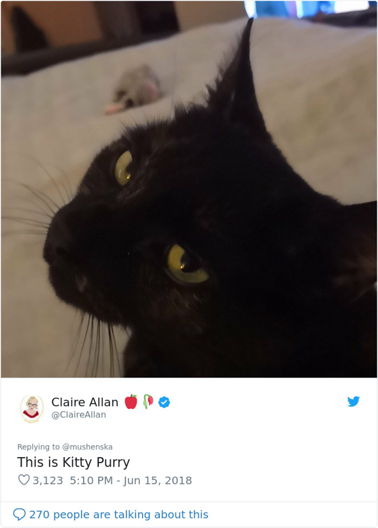 funny pet name