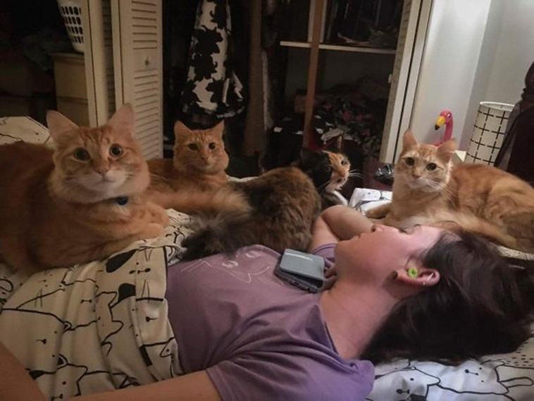 multiple pets