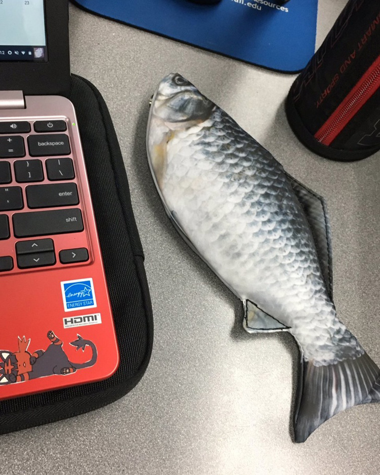 fish pencil case