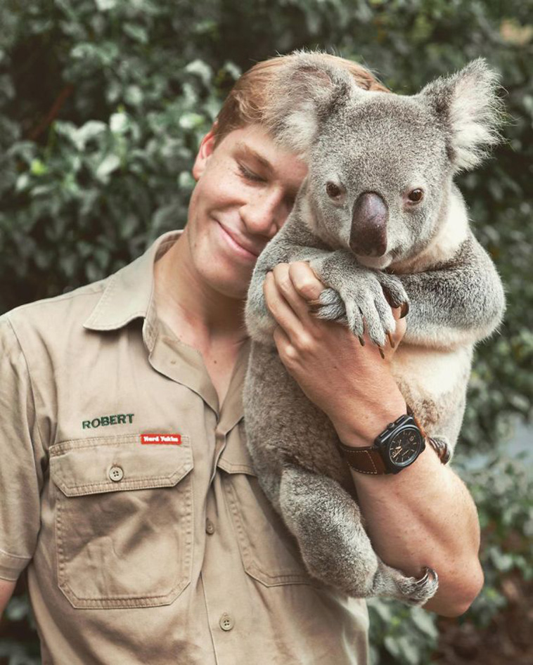koala with man