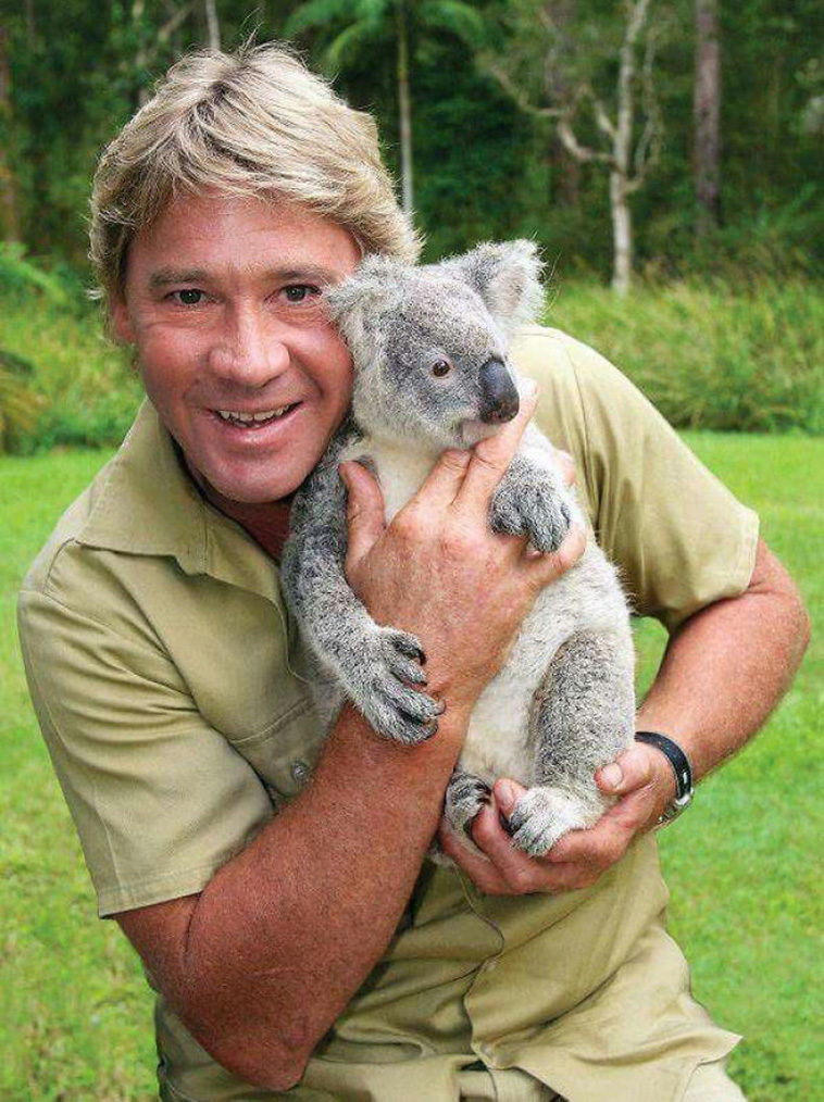 koala and man