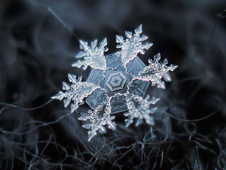 snowflakes with a microscope