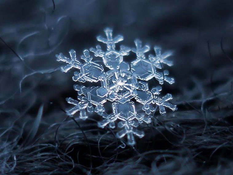 Macro photos of snowflakes