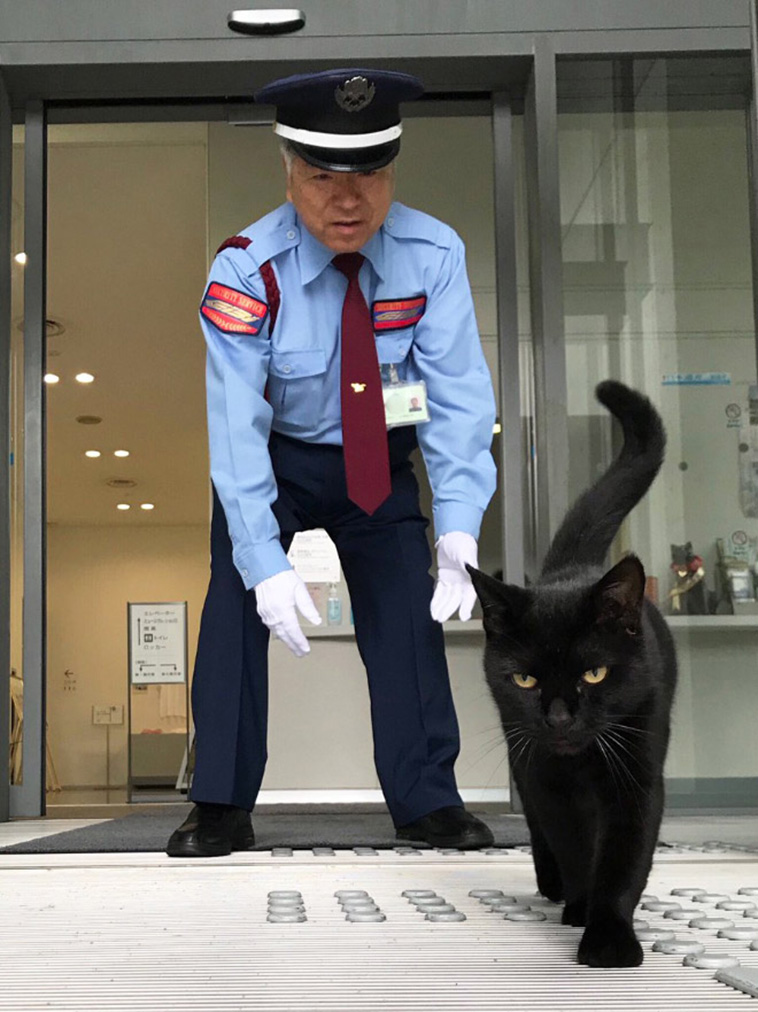 Security guard and cat