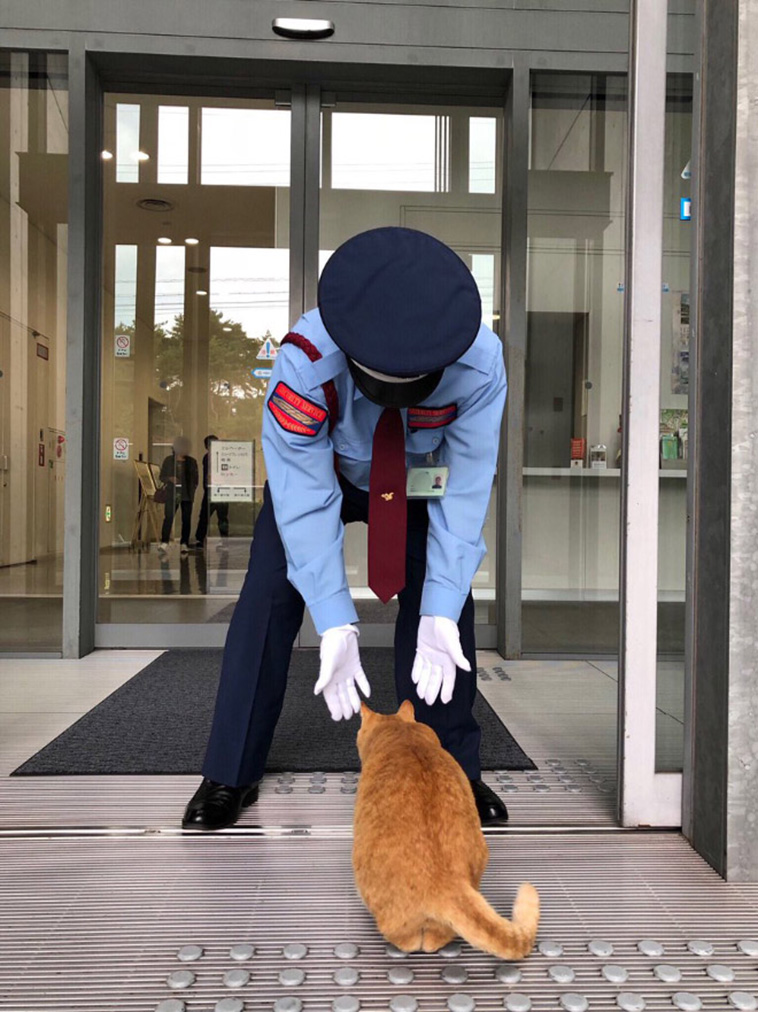 security with cat