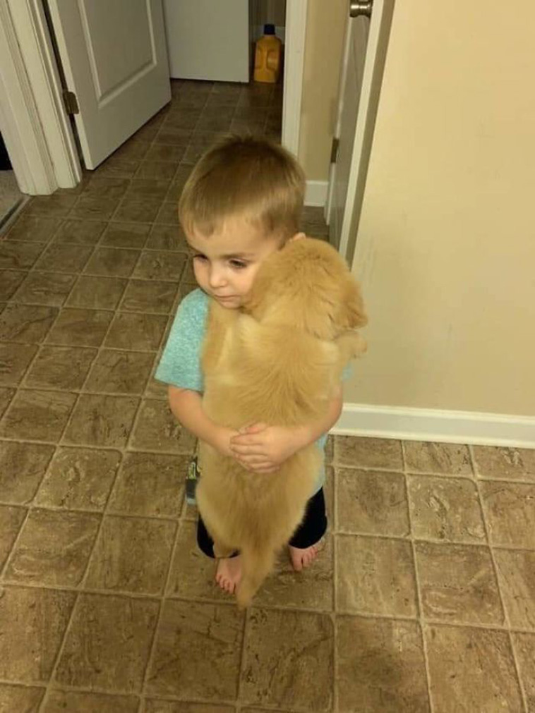 hugger puppy