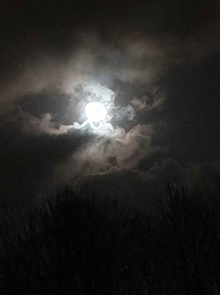 moon night