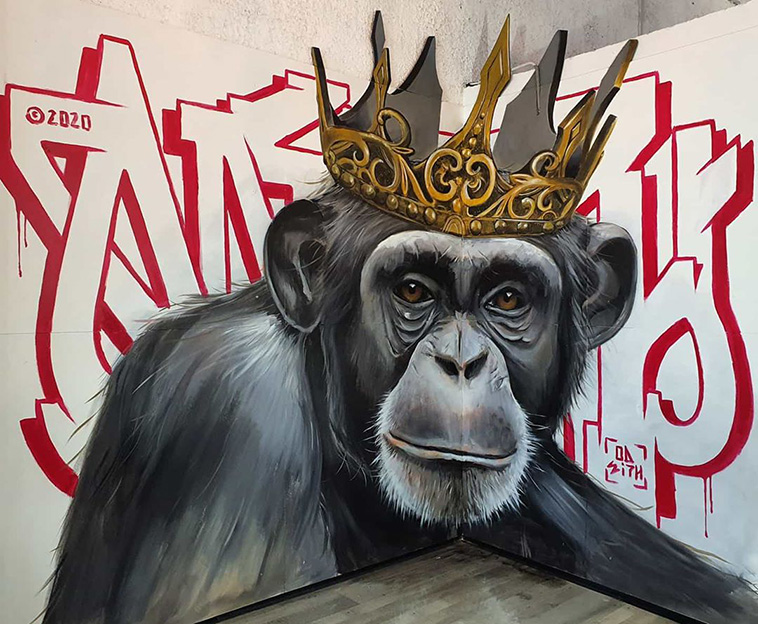 monkey 3d murals