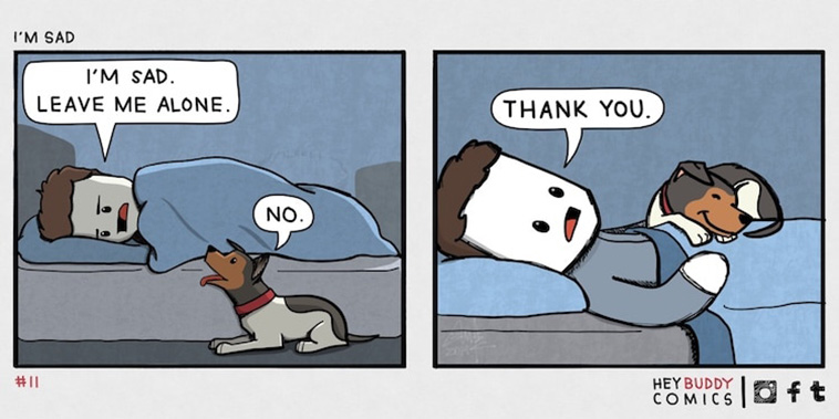 dogs and humans
