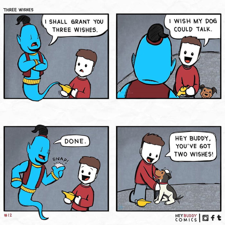 dog and human