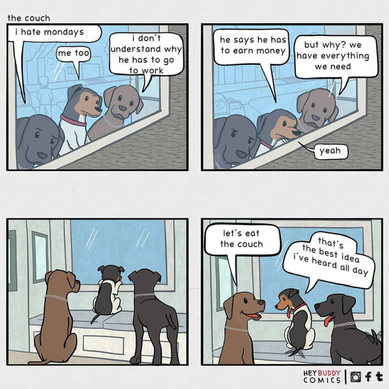 dogs and human