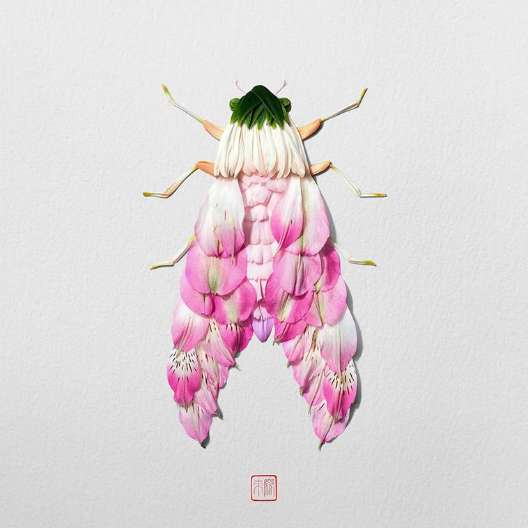 animal portraits from flower