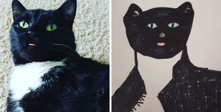 pet draw