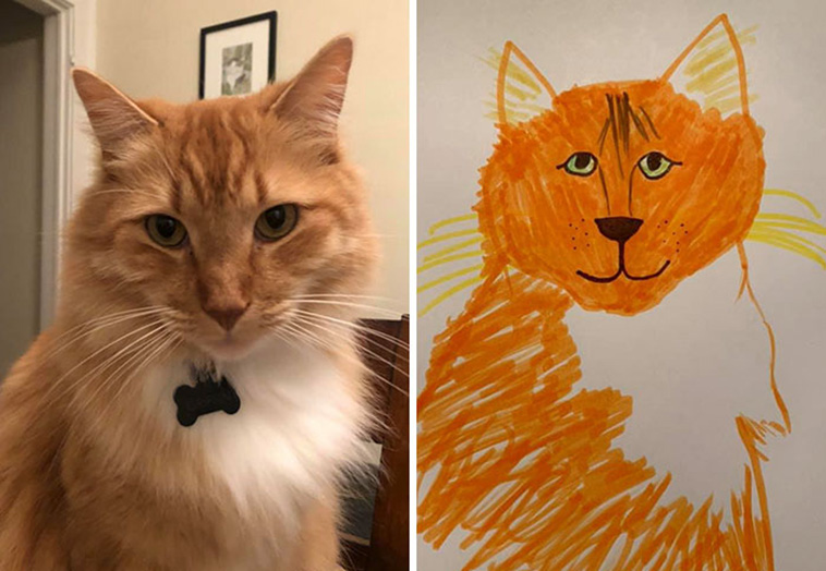 pet drawings